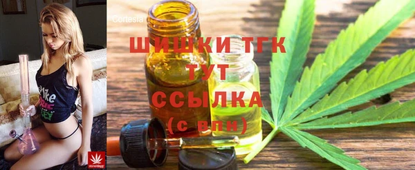 МДПВ Краснослободск
