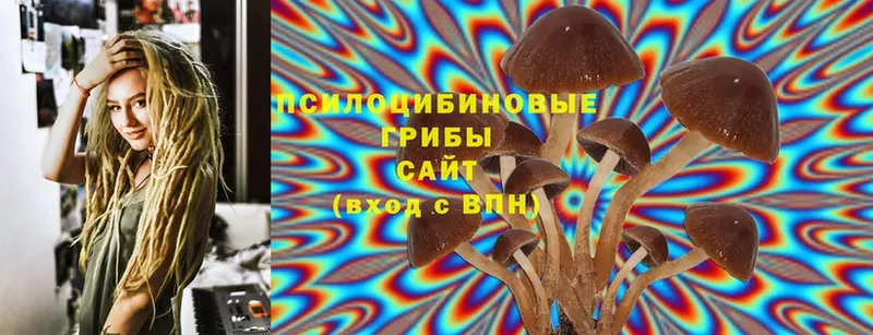 Псилоцибиновые грибы Magic Shrooms  KRAKEN как зайти  Звенигово 